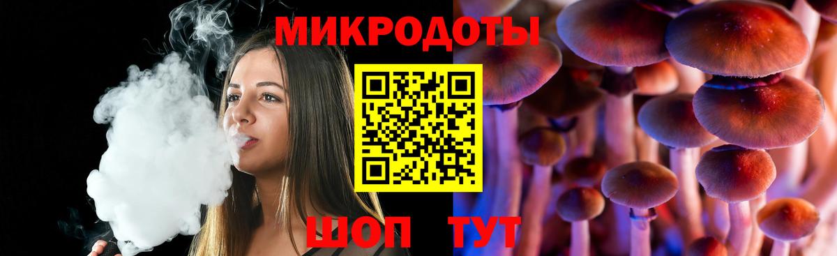 Псилоцибиновые грибы Psilocybine cubensis Сертолово